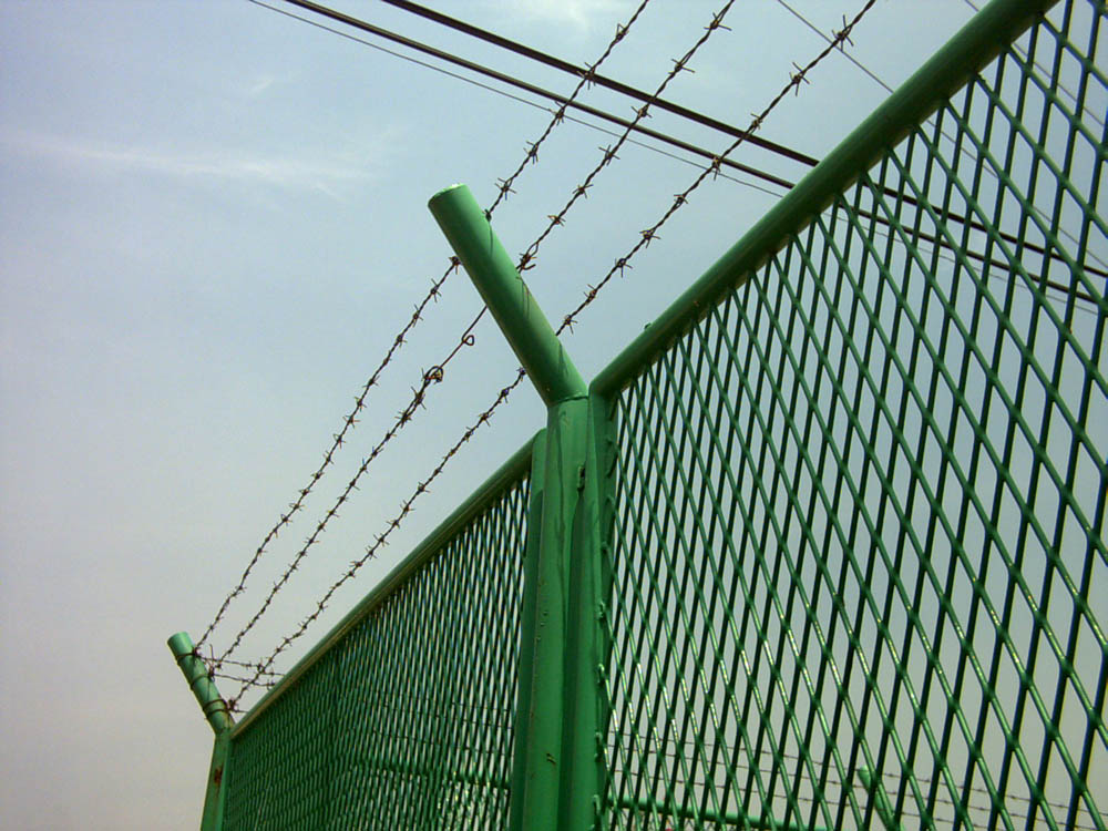 gangbanwang005a.jpg
